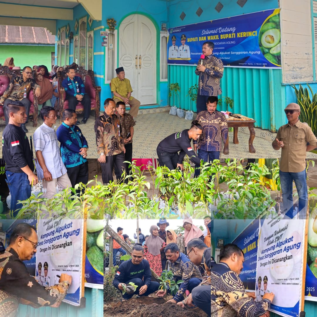 Dicanangkan Bupati Monadi dan Wakil Bupati Murison: Desa Sanggaran Agung Jadi Kampung Alpukat Kerinci, Wujudkan Ekonomi Hijau Berkelanjutan