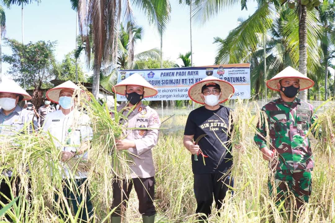 Bupati Anwar Sadat Beserta Forkompimda Panen Raya Padi