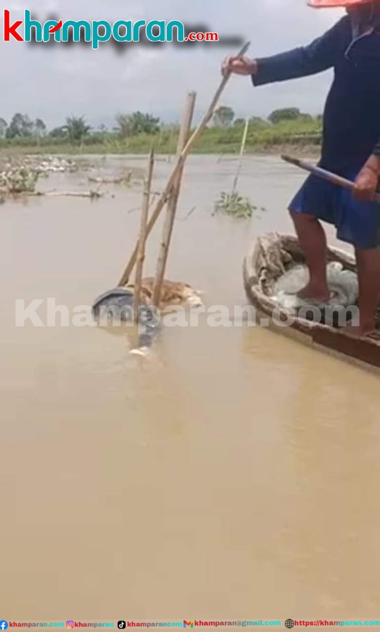 Heboh!! Laki- laki Yang Sudah Tak Bernyawa Mengapung Di Sungai Batang Merao 