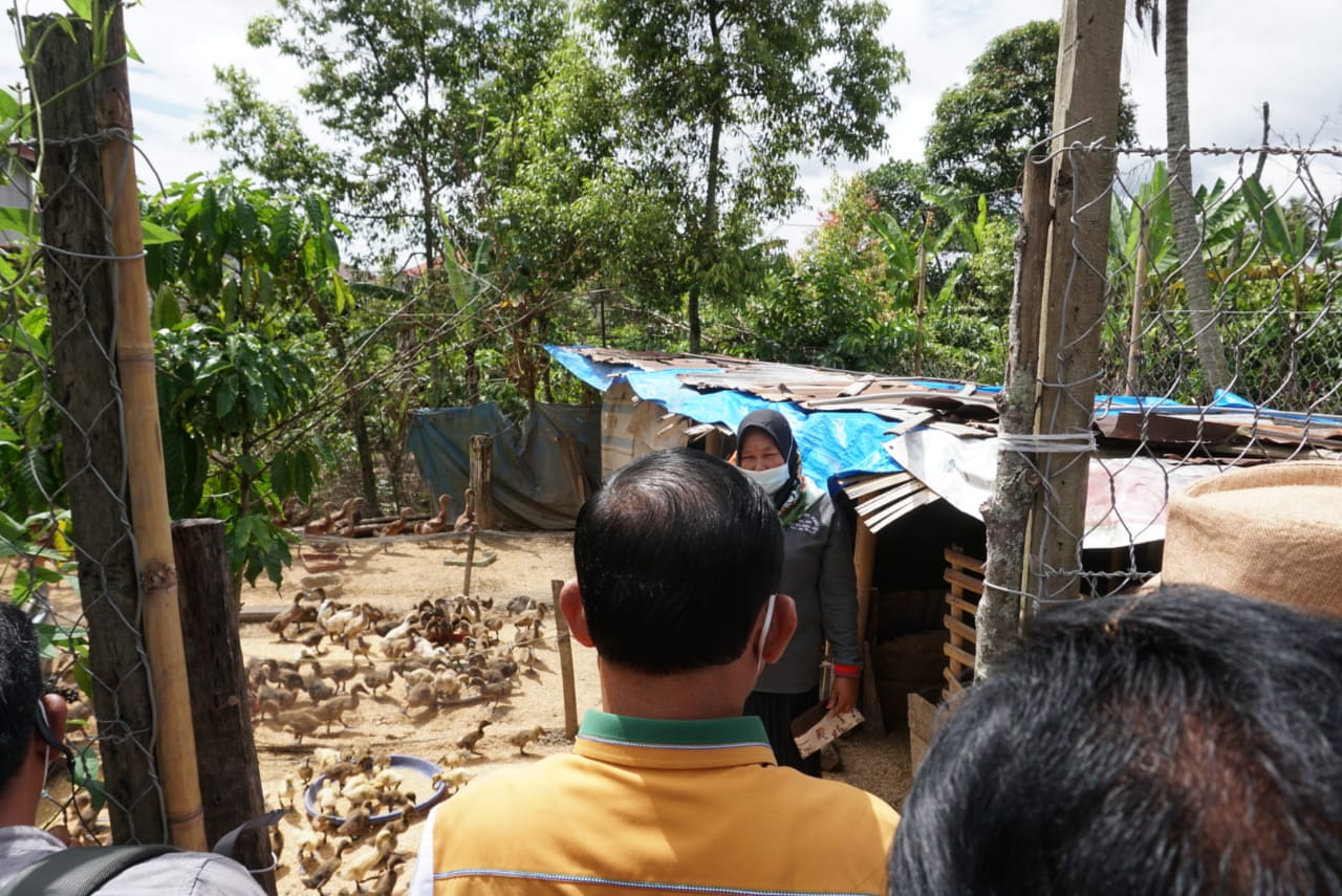 Syafril Nursal Kunjungi Perterank Itik,  Ini Pesan Syafril