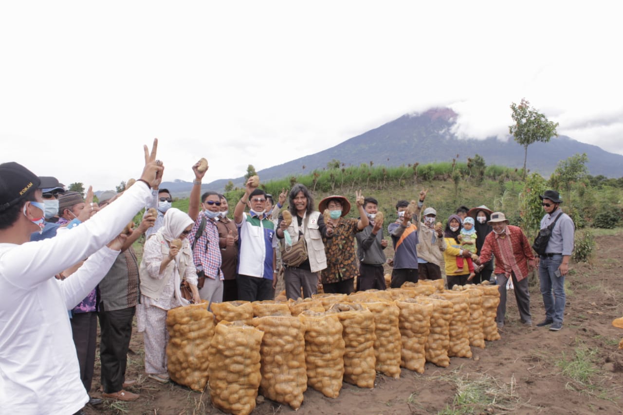 Syafril Nursal Kunjungi Pabrik Kopi Arabika dan Petani Kentang di Kayu Aro, Serap Langsung Keluhan Petani